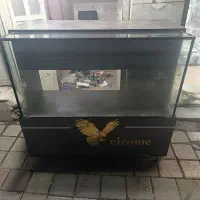 استند مناسب بیشتر کار ها