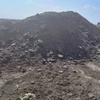 بار کود گوسفند|خدمات باغبانی و درختکاری|سبزوار, قصبه غربی|دیوار