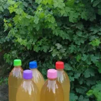 آبغوره طبیعی|خوردنی و آشامیدنی|تهران, عباسی|دیوار