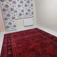 فرش فروشی|فرش|ایلام, |دیوار