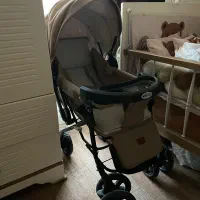 کالسکه|کالسکه و لوازم جانبی|اصفهان, باغ فدک|دیوار