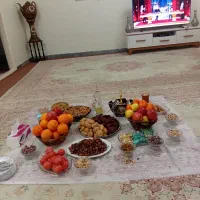 اجاره-خانه-به-یک-نفر-خانم-طبقه-پایین-گل-خانه-ای