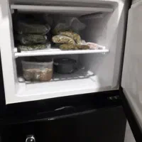 یخچال ۱۲ فوت