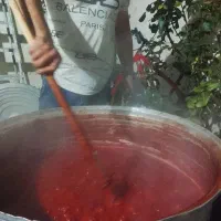 رب خانگی اعلا