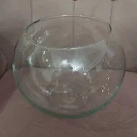ظروف تنگ شیشه‌ای /گلدان دکوری/ظرف پذیرایی/جاسیگاری