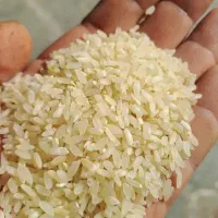 برنج ونیم دانه درجه یک کامفیروزی