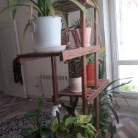 استندگل چوبی