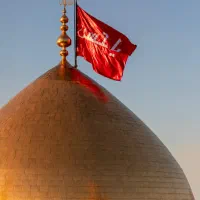 تور کربلا ، نجف استثنایی