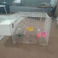 قفس پرنده بزرگ با لونه اش ۳۰۰همش باهم|لوازم جانبی حیوانات|مشهد, انقلاب|دیوار