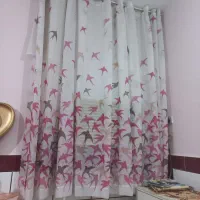 پرده
