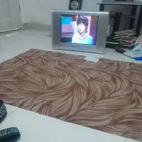 تلویزیون|تلویزیون و پروژکتور|فیروزه, |دیوار