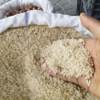 برنج و نیم دانه کامیفروز نو