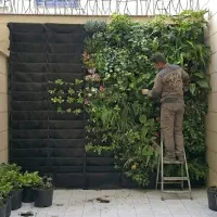 دیوار سبز و گرینوال مدل SP.FloraFelt|گل و گیاه طبیعی|تهران, جردن|دیوار