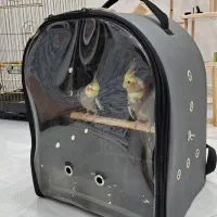 کیف حمل مناسب برای عروس هلندی ملنگو شاه طوطی و...