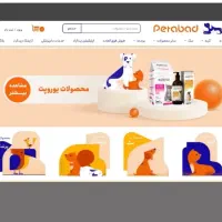 کسب‌وکارت رو نجات بده-طراحی سایت