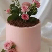 کیک ودسر وفینگر فود