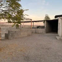 زمین باغی چهار دیواری باغی گلخانه دامداری|فروش زمین و ملک کلنگی|اصفهان, سرشبادران|دیوار