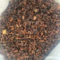 کشمش افتابی و گله کاشمری تربت جام|خوردنی و آشامیدنی|تربت جام, علوی|دیوار