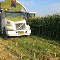 انهاش کمپرسی