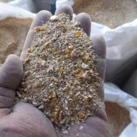 فروش مرغ زنده و انواع پرندگان دون تخمگذار دان|حیوانات مزرعه|تهران, صادقیه|دیوار