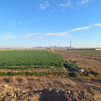 زمین کشاورزی سند ششدانگ