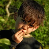 دوربین عکاسی نیکون مدل p610|دوربین عکاسی و فیلمبرداری|اردبیل, |دیوار