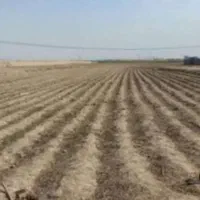 اجاره زمین کشاورزی آبی