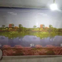 پرده فانتزی سالم وتمیز،