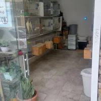 فروش مغازه ۱۳ متری در نهضت ۸|فروش مغازه و غرفه|مشهد, امیریه|دیوار