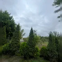 خاص ترین زمین ۳۷۰متری با سند و جواز/ لوکیشن کمیاب