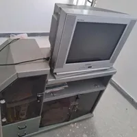 تلویزیون