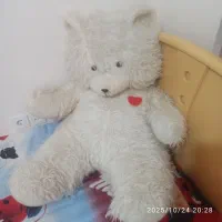 اسباببازی|اسباببازی|تربت جام, مطهری|دیوار