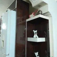 کابینت هایگلاس|آب‌چکان و نظم‌دهنده ظروف|شاهین دژ, |دیوار