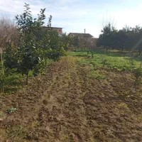 فروش نقدواقساط زمین خانه سرا۴۶۸ متری|فروش زمین و ملک کلنگی|قائمشهر, |دیوار