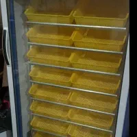 دستگاه جوجه کشی بلدرچین دماوند|لوازم جانبی حیوانات|املش, |دیوار