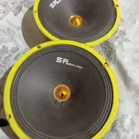 میدرنج ۱۰ اینچ اسپیدوارد