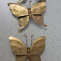 پروانه دیوار کوب