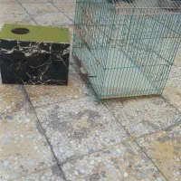 فروش قفس پرنده و لانه تخم پرنده