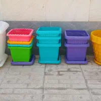 گلدان گل در رنگهای زیبا و متنوع