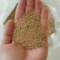 کنجد طلایی تمیز|عمدهفروشی|آمل, |دیوار