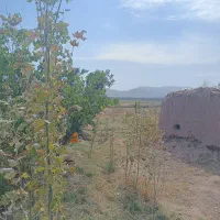 باغ کوچک در مرند|فروش زمین و ملک کلنگی|کشکسرای, |دیوار