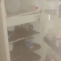 یخچال قدیمی کاملا سالم|یخچال و فریزر|گرگان, |دیوار