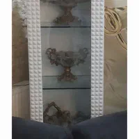 دوعدد ویترین یا کمد کتاب ویا کتابخانه