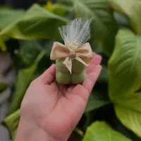 گل شمعی|گل مصنوعی|مشهد, ولیعصر (شهرک غرب)|دیوار