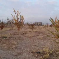 باغ فروشی درسهرین|فروش خانه و ویلا|قره پشتلو, |دیوار