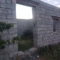 فروش-باغ