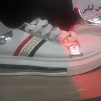 کفش زنانه و مردانه|کیف، کفش، کمربند|شوشتر, |دیوار