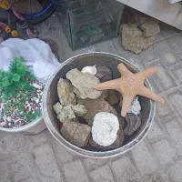 سنگ آکواریومو شن کف