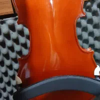 ویولن حرفه ای|ویولن|بوشهر, |دیوار