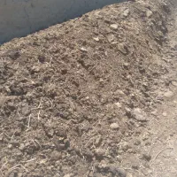 کود‌گاوی
